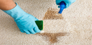 carpet spot cleaning